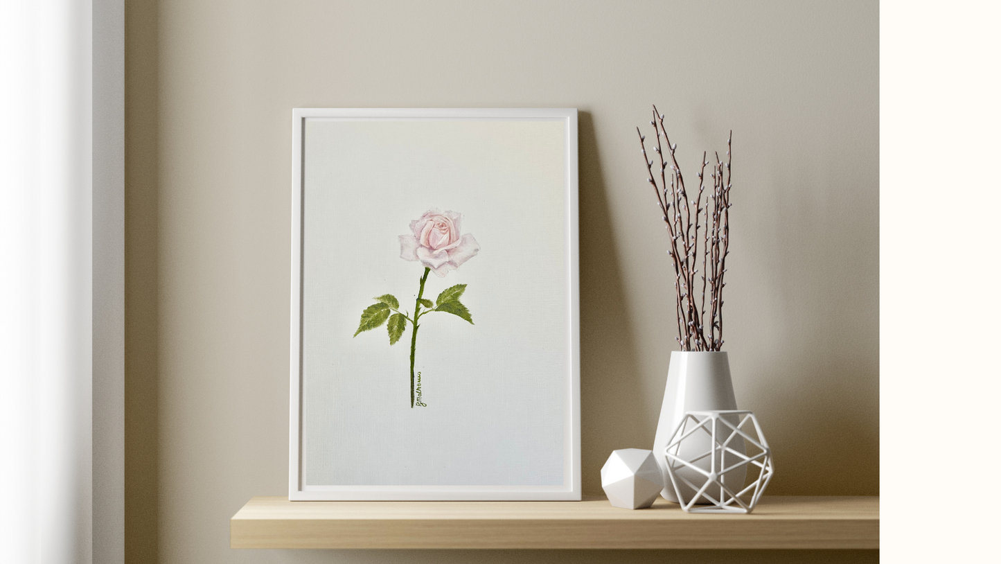 Single Rose 2 - Soft Pink