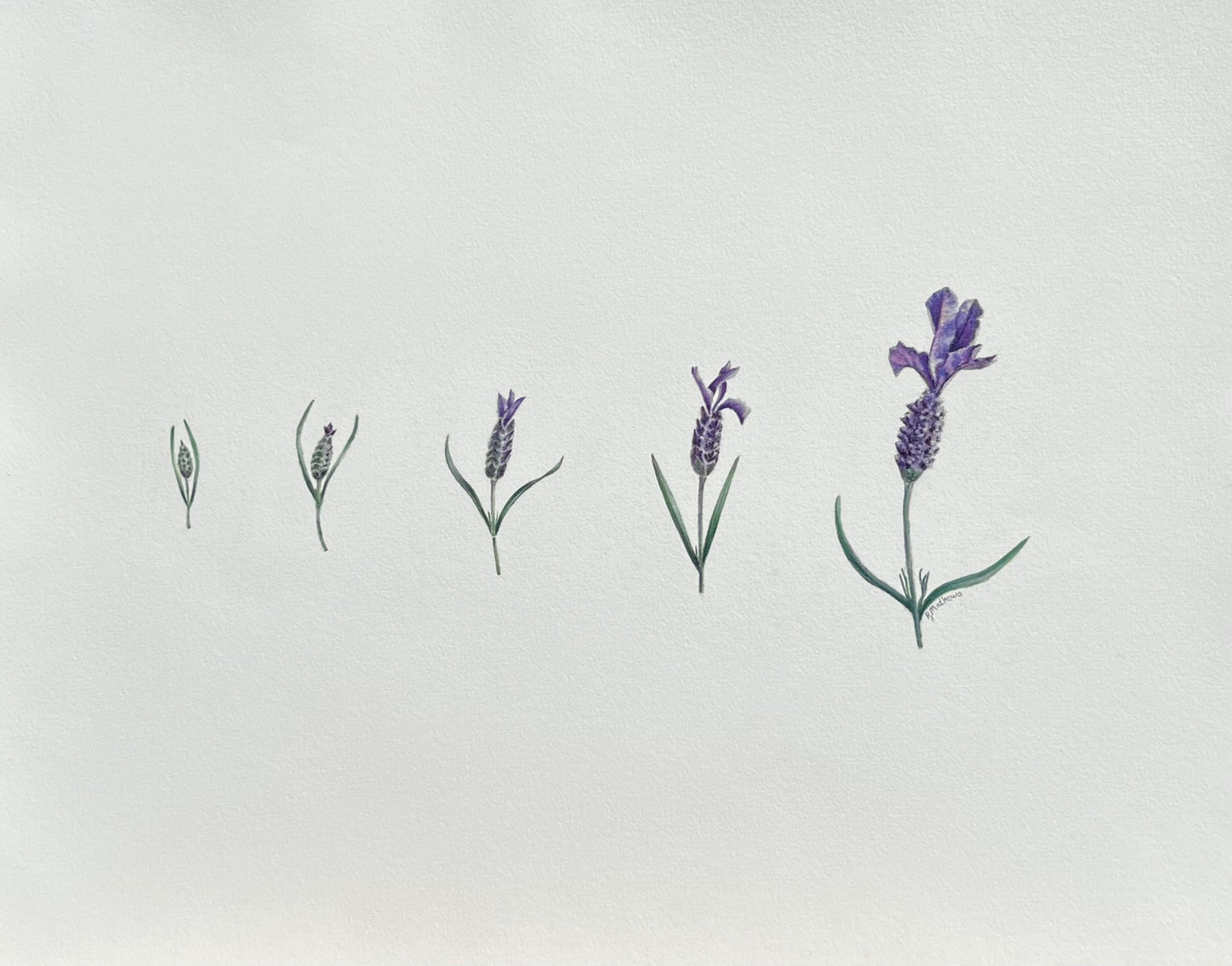 Tiny Dancers