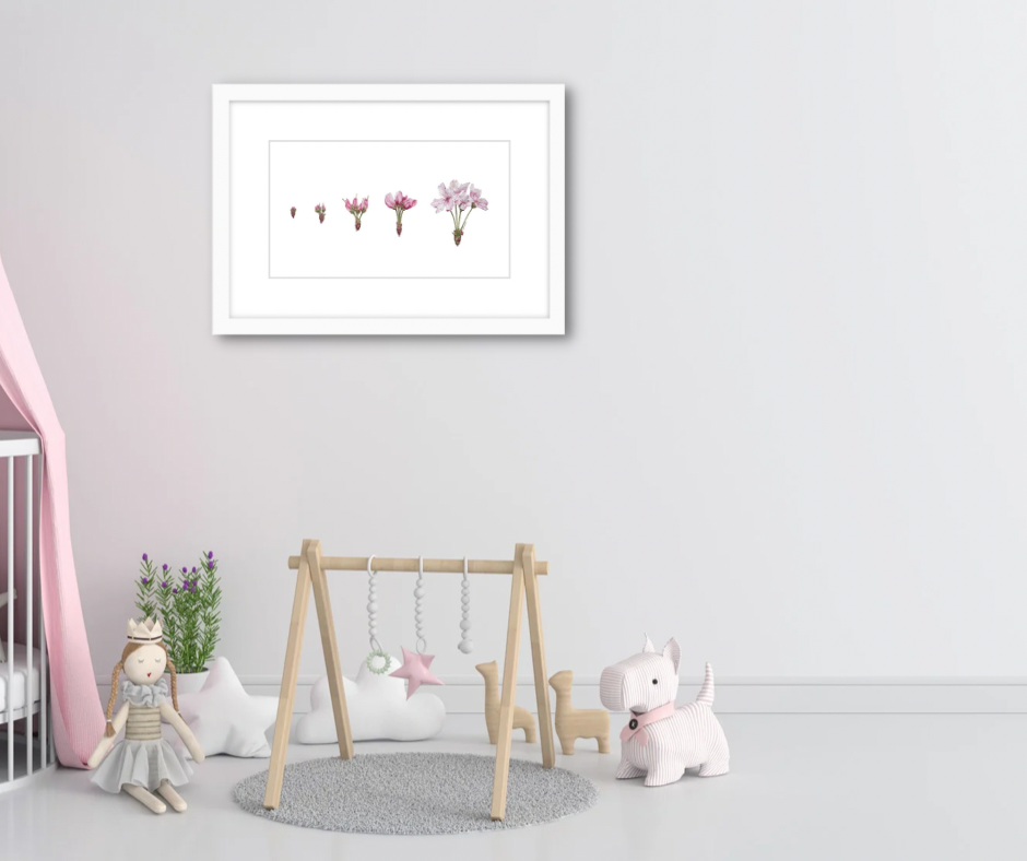 Cherry Blossom Art Print