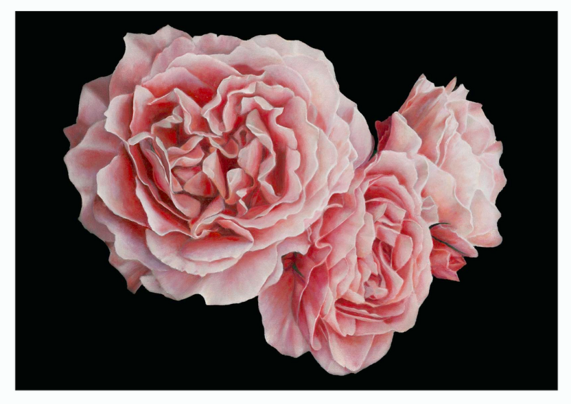 My Mum - Fine Art Rose Print