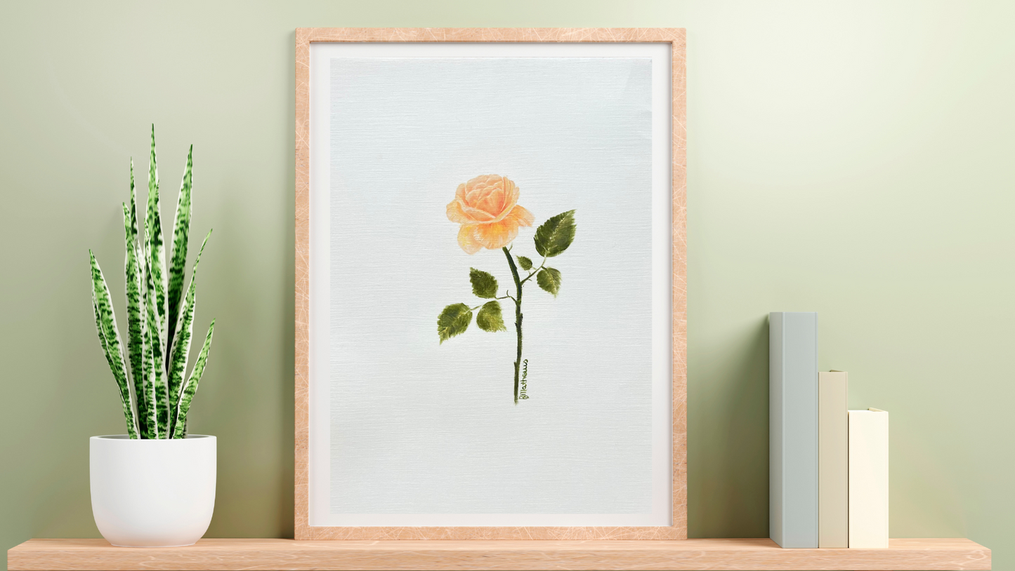 Single Rose 1 - Peach