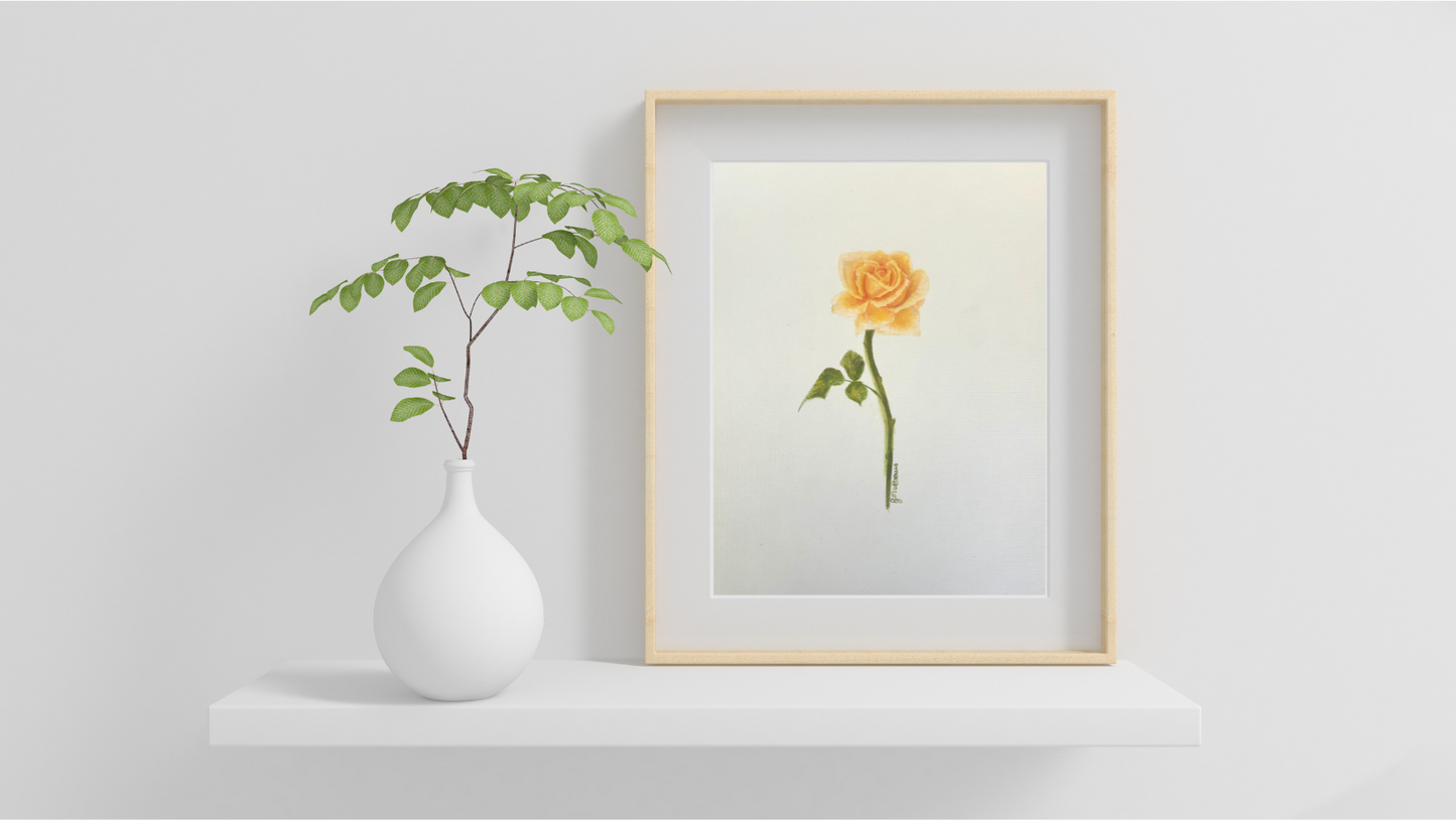Single Rose 3 - yellow