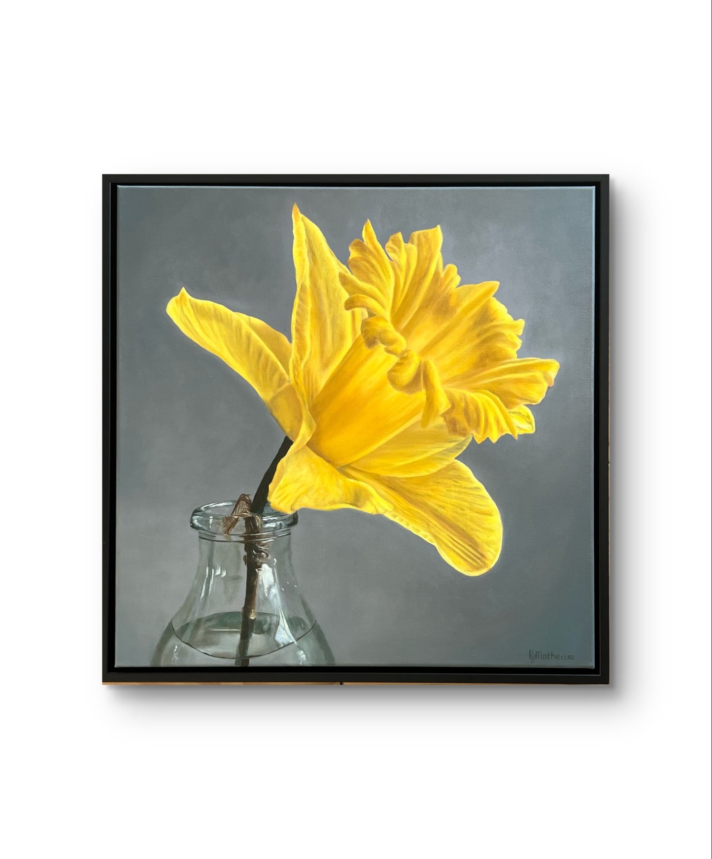 Thinking of You daffodil painting in black float frame – original oil painting by NZ artist Rebecca Mathews