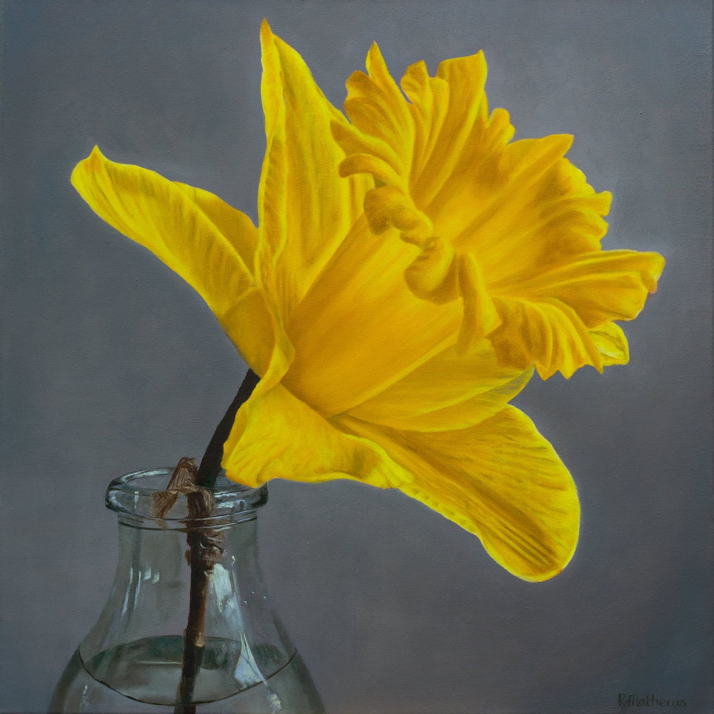 Limited edition daffodil art print – floral wall art by NZ artist Rebecca