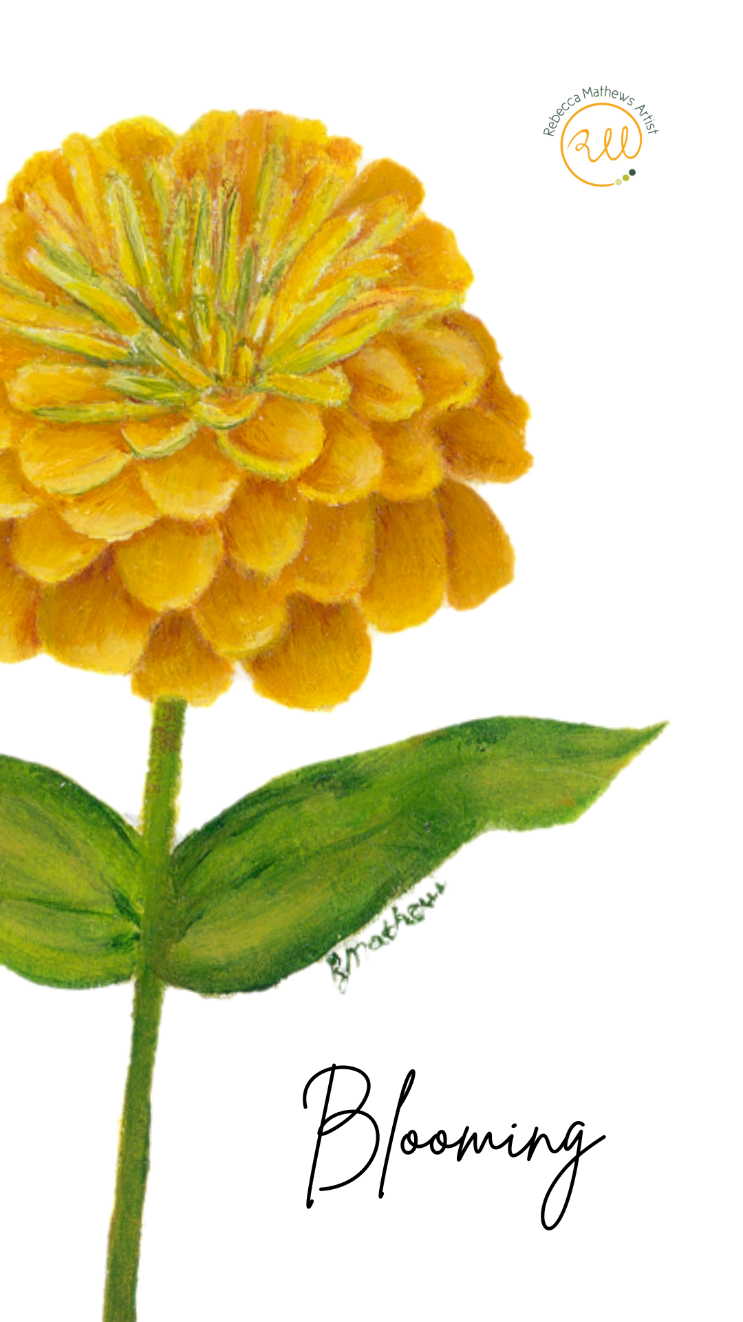 Lollipops - Zinnia Art Print