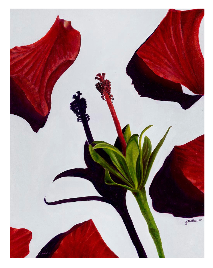 Red - Fine Art Print