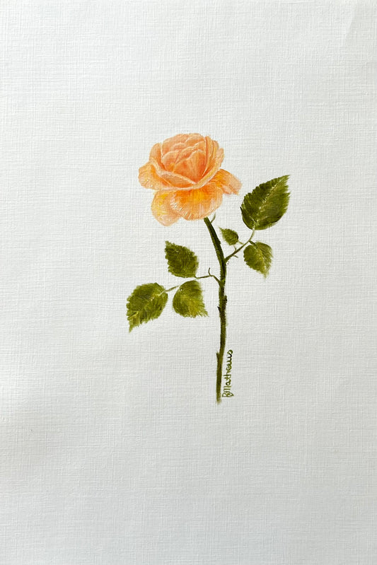 Single Rose 1 - Peach