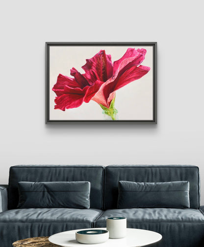 Ruby - Limited Edition Print