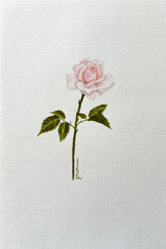 Single Rose 2 - Soft Pink