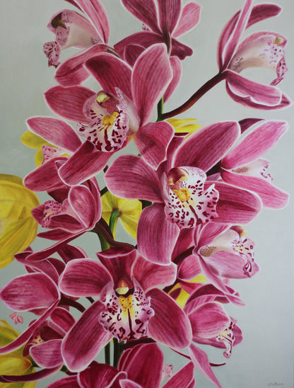 Artistic depiction of pink orchids on a light gray/green background