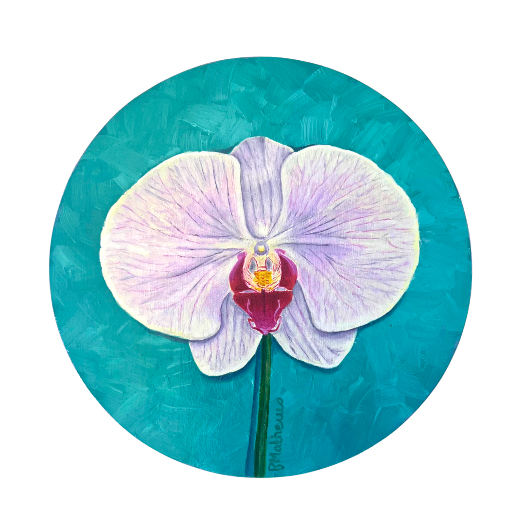 White and purple orchid flower on a teal circular background